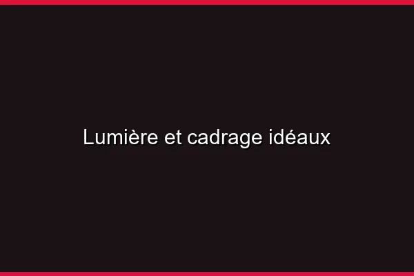 Comprendre le concept